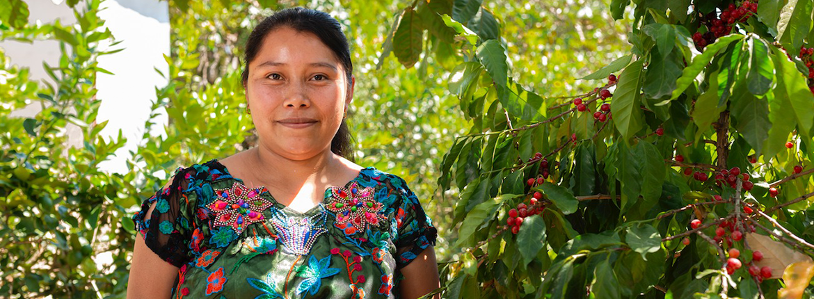 ¿Sabías que se estima que se necesitan alrededor de 140 litros de agua para producir una taza de café?