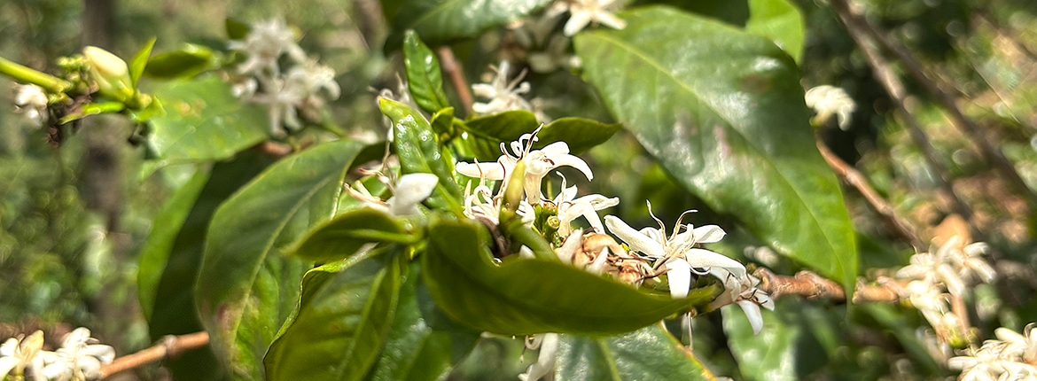 DESCUBRE LAS BUENAS NOTICIAS EN NUESTRO BOLETÍN #7