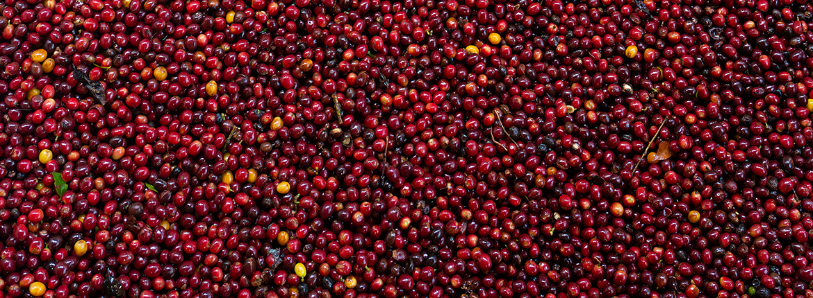 DESCUBRE LAS BUENAS NOTICIAS EN NUESTRO BOLETÍN #8