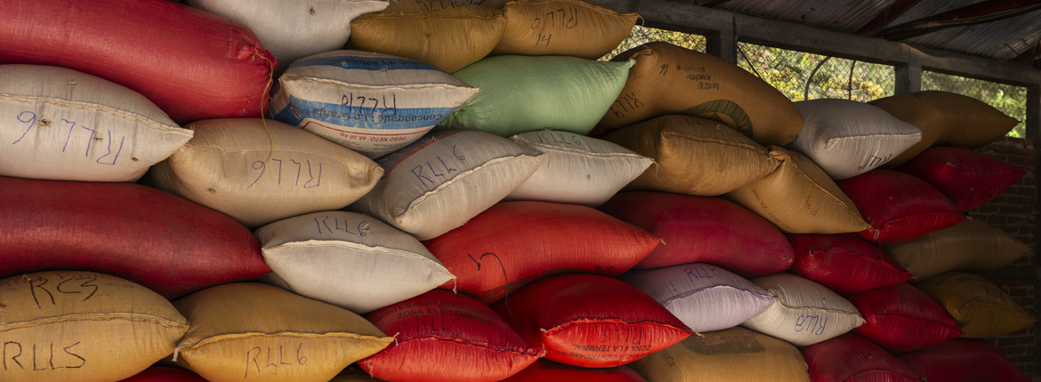 DESCUBRE LAS BUENAS NOTICIAS EN NUESTRO BOLETÍN #9